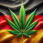 L’image actuelle n’a pas de texte alternatif. Le nom du fichier est : allemagne-cannabis-legalisation.webp
