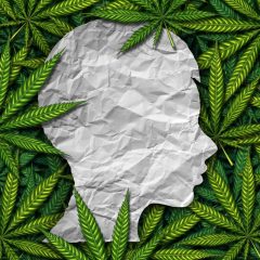 Épilepsie, neuroinflammation et cannabidiol : que savons-nous jusqu’à présent ?