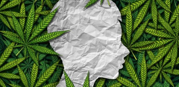 Épilepsie, neuroinflammation et cannabidiol : que savons-nous jusqu’à présent ?