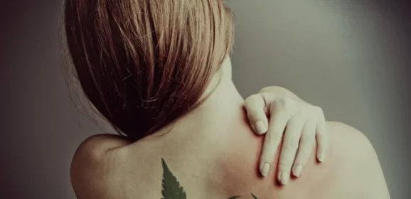Cannabis médical et la fibromyalgie : les résultats d&rsquo;une étude concordants avec d&rsquo;autres études