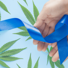 Etude : CBD et cancer colorectal