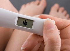 CBD et le syndrome d&rsquo;alcoolisation fœtale