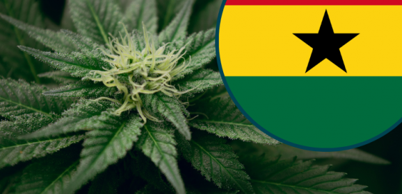 Le Ghana tente de lancer son industrie locale du cannabis médical