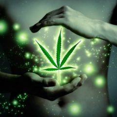 Cannabis médical pour le traitement de l&rsquo;endométriose