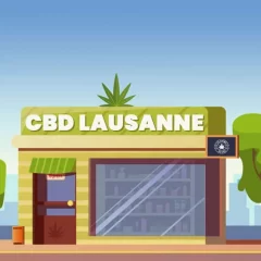 Avec la vente de cannabis légal à Lausanne, le marché noir perd 2 millions