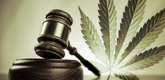 92 % d’opinions favorables : le cannabis thérapeutique, une demande citoyenne !