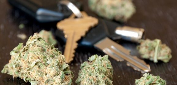 Le gouvernement de la Nouvelle-Galles du Sud va introduire des réformes sur la conduite du cannabis