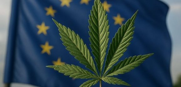 L&rsquo;Europe a besoin de cannabis pharmaceutique. L&rsquo;Amérique latine a ce qu&rsquo;il faut