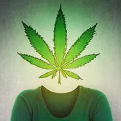 Pourquoi la psychiatrie a besoin de meilleures données sur les résultats des patients sous cannabis médical