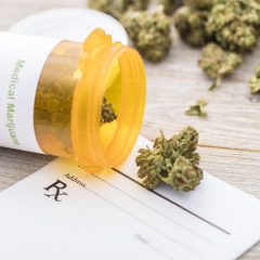 Etats-Unis : une étude sur le cancer financée par le gouvernement fédéral souligne la nécessité de couvrir le cannabis médical par l&rsquo;assurance maladie, selon les chercheurs