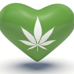 Cannabis et rythme cardiaque : une étude de l&rsquo;UCSF mesure moins d&rsquo;extrasystoles les jours de consommation