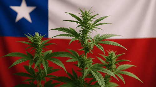 Chili : 500 policiers font une descente dans une organisation de patients comptant 16 000 membres