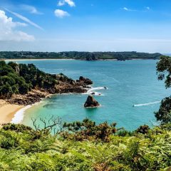 Jersey: Les ordonnances de cannabis médicinal augmentent de 35%