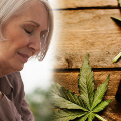 Les produits à base de cannabis sont associés à des améliorations durables chez les patients atteints d&rsquo;arthrite inflammatoire