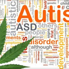 Une étude gouvernementale montre que le cannabis médical aide les personnes autistes à réduire leur anxiété et leur dépression