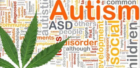 Une étude gouvernementale montre que le cannabis médical aide les personnes autistes à réduire leur anxiété et leur dépression