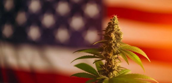 Les autorités de l&rsquo;État de New York approuvent un programme d&rsquo;essais cliniques sur le cannabis médical utilisant une solution orale de THC pour traiter la douleur chronique liée à la sciatique