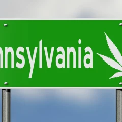 La Pennsylvanie vote pour l’usage du cannabis médical en milieu hospitalier pour les patients en phase terminale